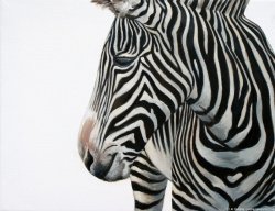 Zebra Left